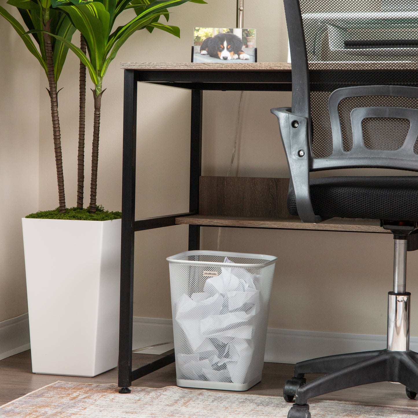 Mind Reader Mesh Trash Can, Waste Paper Basket, Square, Office, Metal Mesh, 9.75"L x 9.75"W x 12.25"H, Set of 2, Black