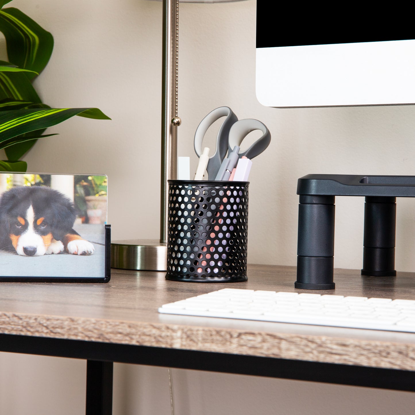 Mind Reader Metal Pen Cups, Mesh Pencil Holders, Desktop Organizer Set, Metal, Set of 3, Black