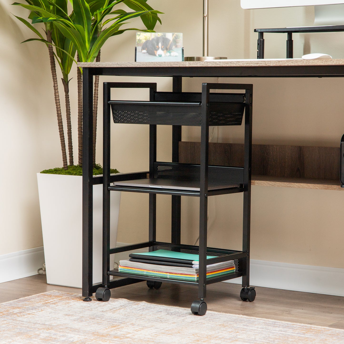 Mind Reader Cart with Covered Compartment, Office Organizer, Storage, 3-Tier, Office, Metal, 15.5"L x 11"W x 28.25"H, Black