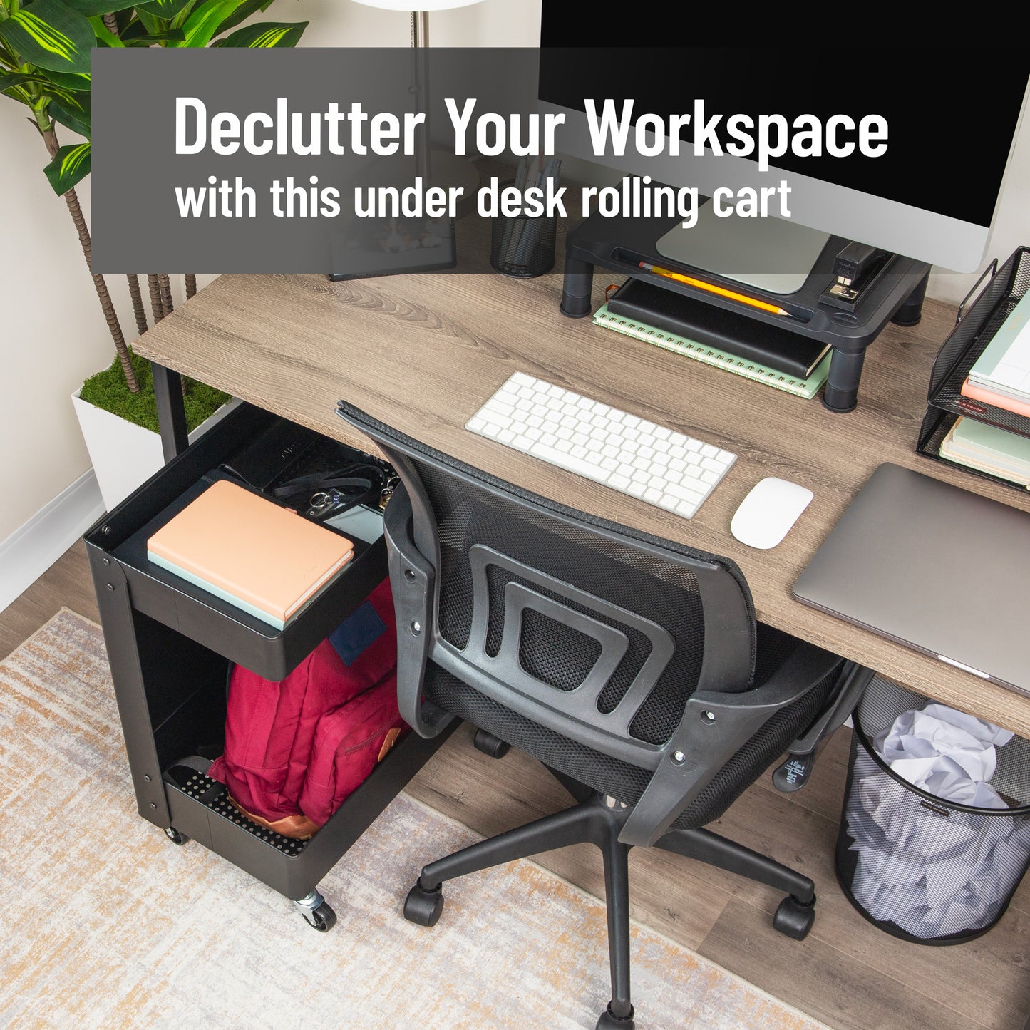 Mind Reader Under Desk Rolling Cart, 2-Tier Steel Utility Organizer, No Assembly Required, 12"L x 20"W x 23.5"H, Black