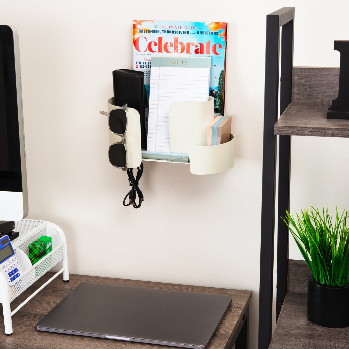 Mind Reader Hanging Accessory Organizer, Adhesive Wall-Mounted Shelf with Hooks for Home, Office, Dorm, or Bathroom, Metal, Tan