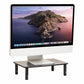 Mind Reader Monitor Stand, Height Adjustable, Ventilated Laptop Riser, Office, Metal, Black