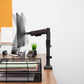 Mind Reader Single Monitor Arm for 13–32 Inch Screens, Gas Spring VESA Desk Mount, 180° Rotation, ±180° Swivel, ±65° Tilt, Integrated Cable Management, Holds up to 19.8 lbs, Black