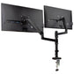 Mind Reader Dual Monitor Arm for 13–32 Inch Screens, Gas Spring VESA Desk Mount, ±180° Rotation, ±65° Tilt, ±180° Swivel, Holds up to 19.8 lbs Each,  Integrated Cable Management, Black