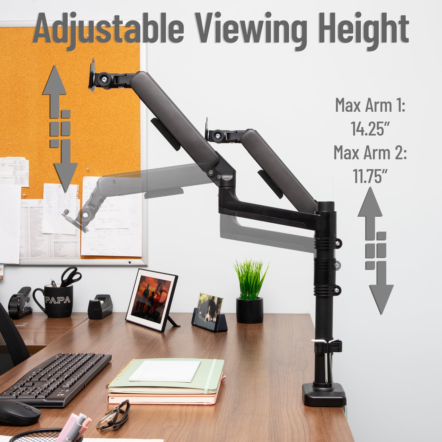Mind Reader Dual Monitor Arm for 13–32 Inch Screens, Gas Spring VESA Desk Mount, ±180° Rotation, ±65° Tilt, ±180° Swivel, Holds up to 19.8 lbs Each,  Integrated Cable Management, Black