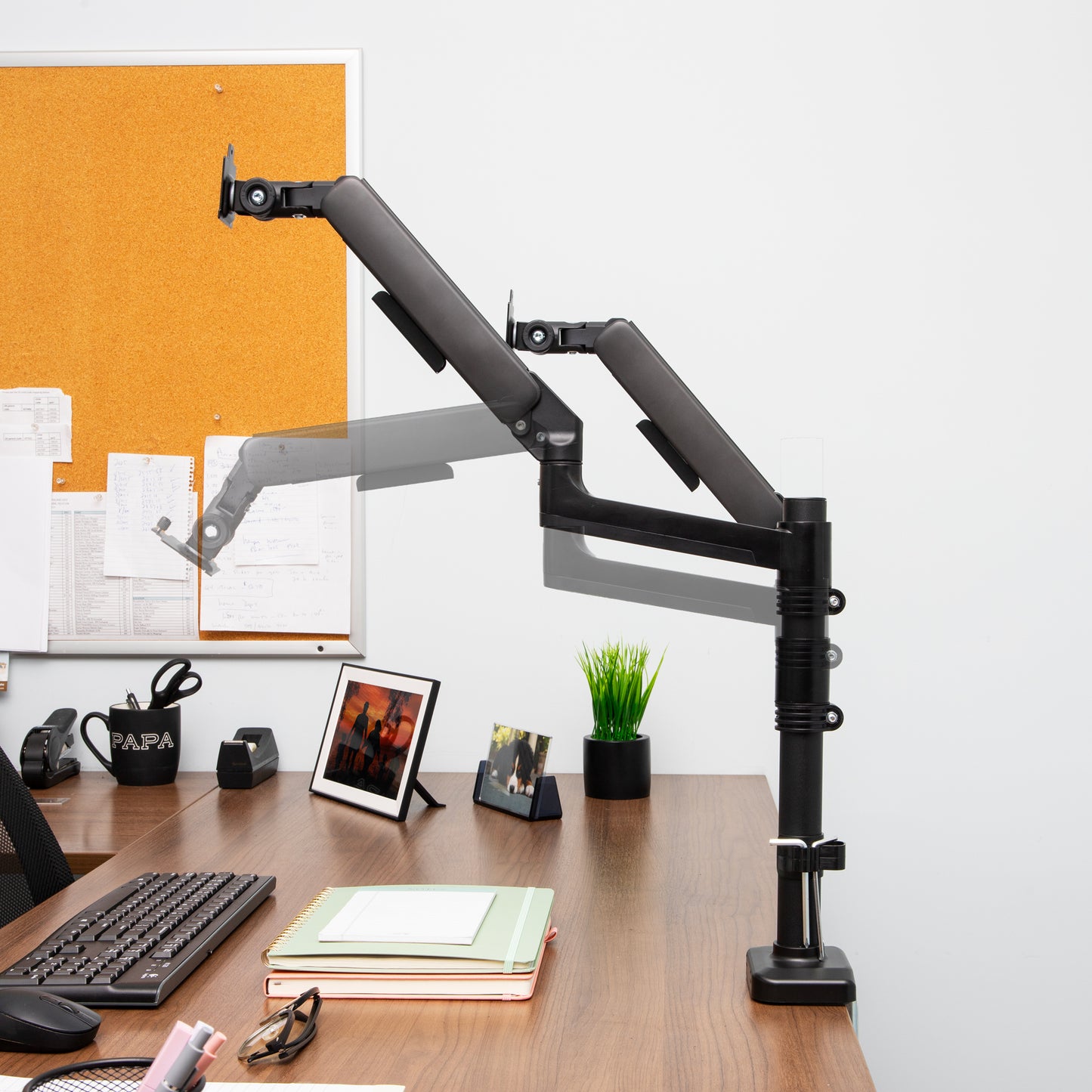 Mind Reader Dual Monitor Arm for 13–32 Inch Screens, Gas Spring VESA Desk Mount, ±180° Rotation, ±65° Tilt, ±180° Swivel, Holds up to 19.8 lbs Each,  Integrated Cable Management, Black