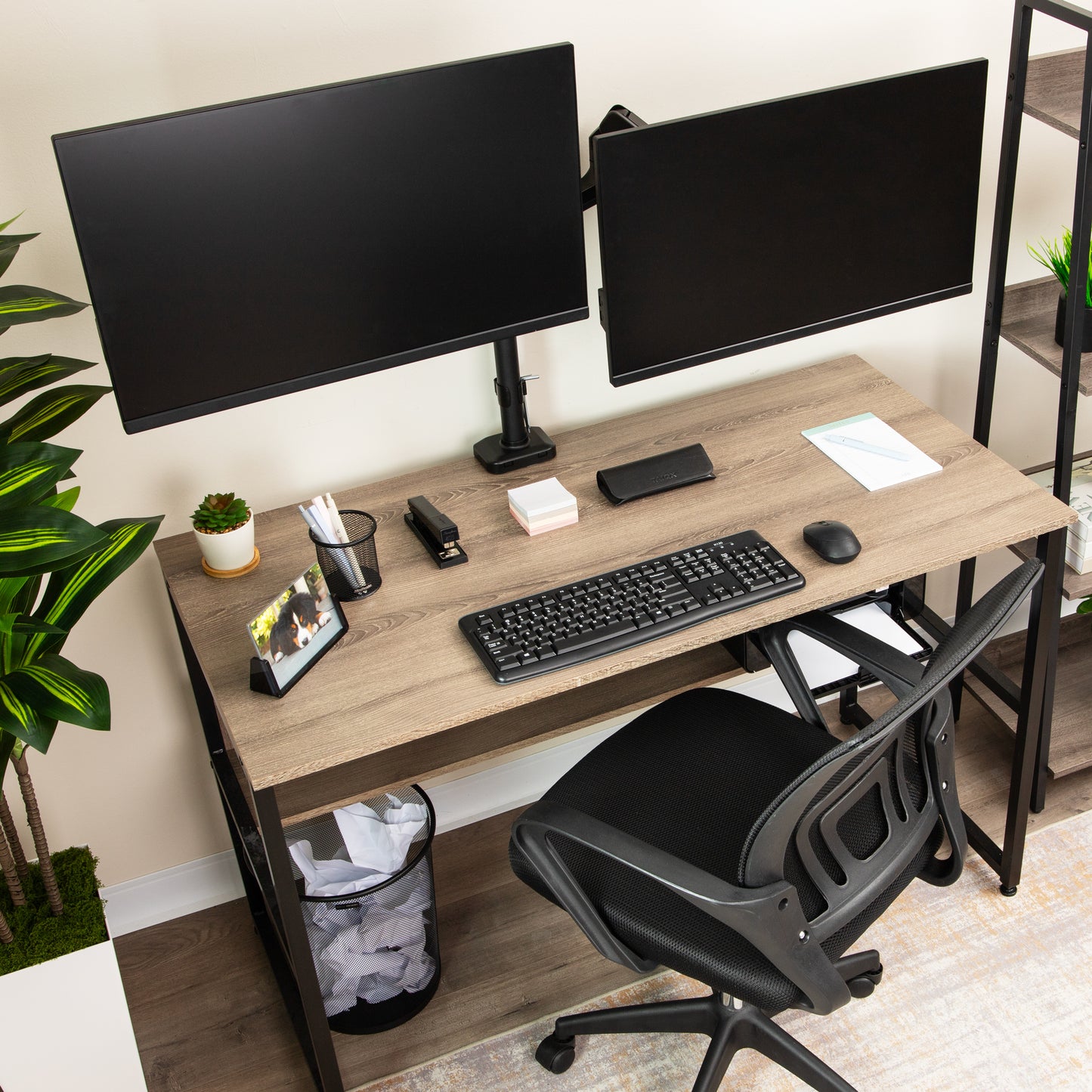 Mind Reader Dual Monitor Arm for 13–32 Inch Screens, Gas Spring VESA Desk Mount, ±180° Rotation, ±65° Tilt, ±180° Swivel, Holds up to 19.8 lbs Each,  Integrated Cable Management, Black