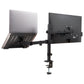 Mind Reader Dual Arm Monitor and Laptop Desk Mount, Adjustable Stand for 17"–32" Screens, VESA 75x75/100x100, 180° Rotation, ±90° Swivel, ±90° Tilt, Black