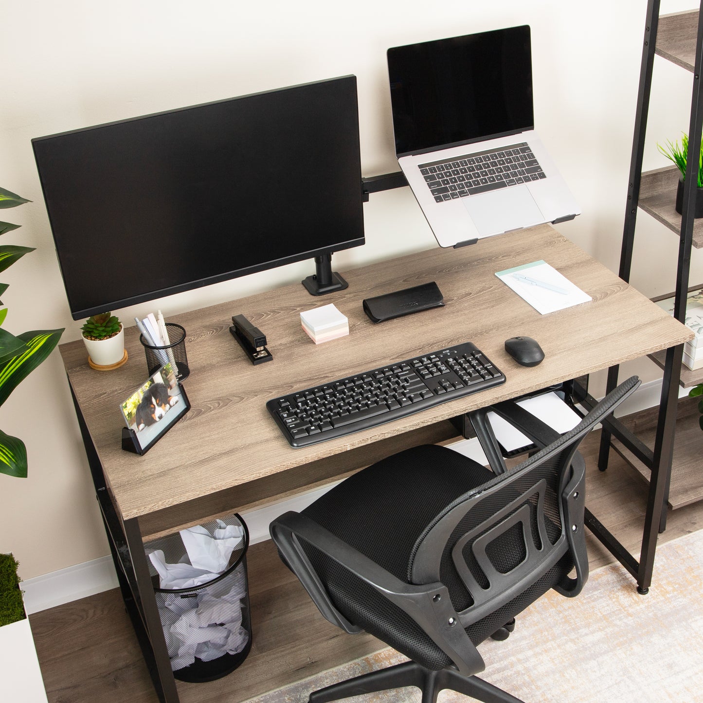 Mind Reader Dual Arm Monitor and Laptop Desk Mount, Adjustable Stand for 17"–32" Screens, VESA 75x75/100x100, 180° Rotation, ±90° Swivel, ±90° Tilt, Black