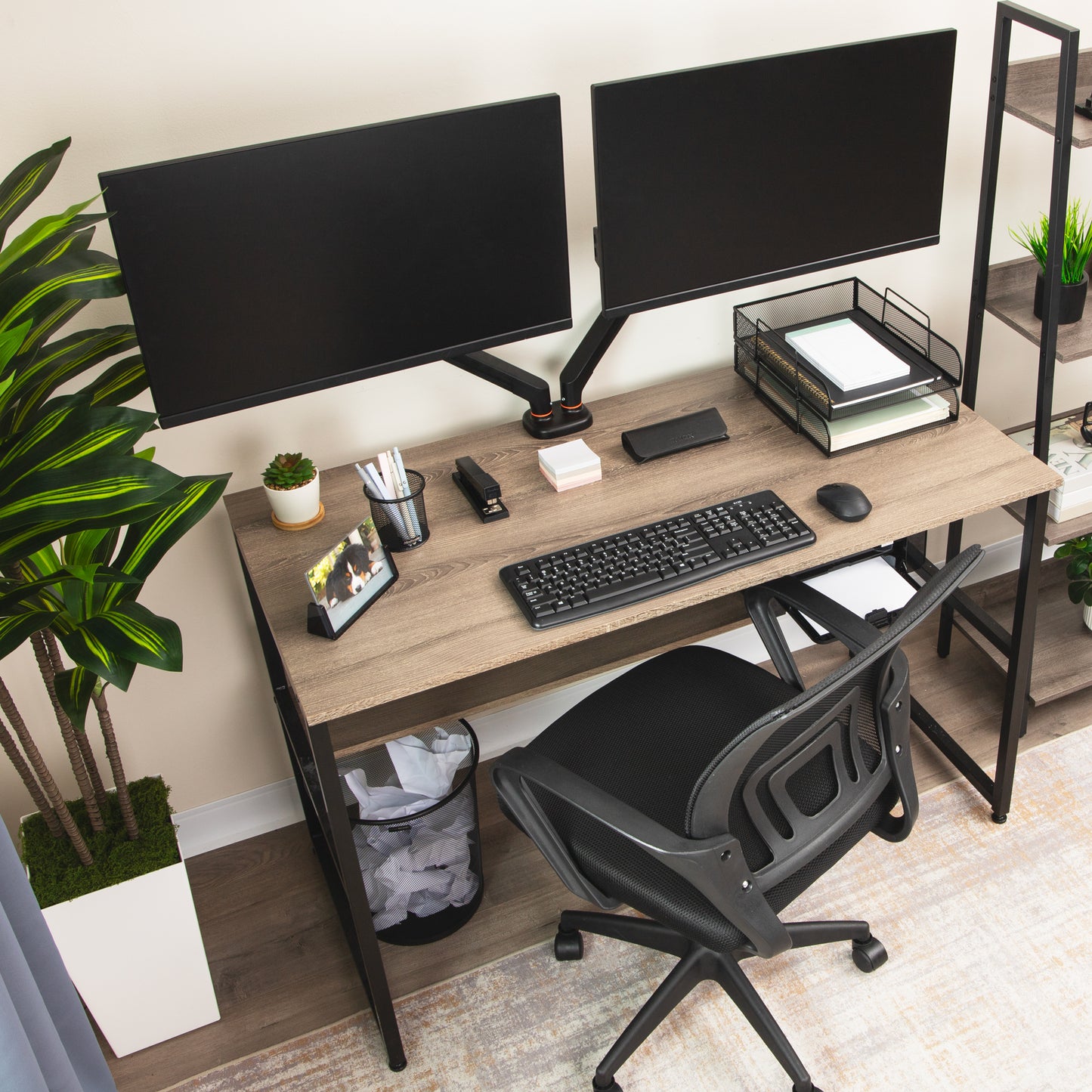 Mind Reader Dual Monitor Gas Spring Desk Mount, Counter-Balance Arm for 13"–32" Monitors, VESA 75x75 / 100x100, ±180° Rotation, ±65° Tilt, ±180° Swivel, 19.8 lb Capacity Each, Cable Management, Black