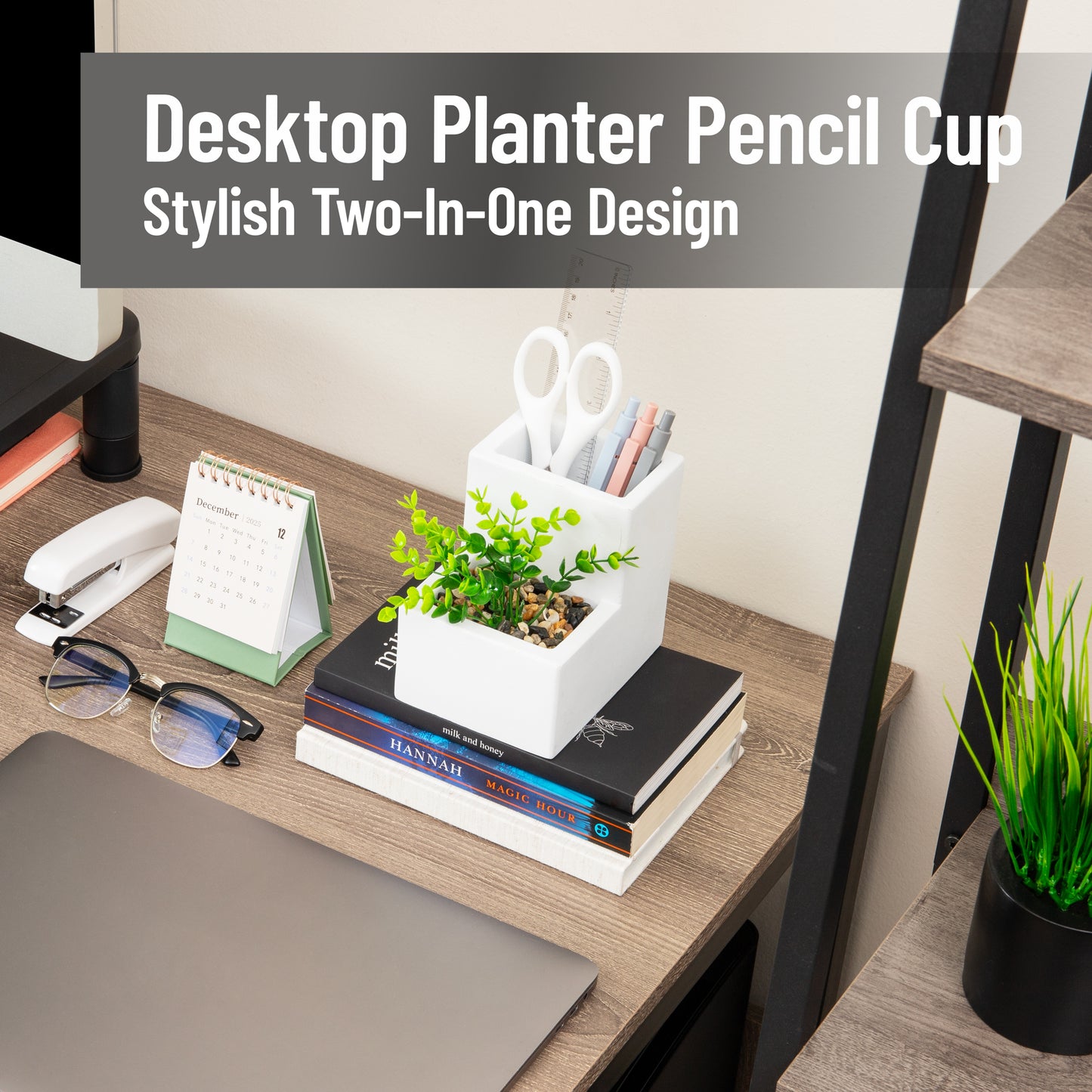 Mind Reader Ceramic Desktop Planter Pencil Cup, Desk Organizer with Faux Succulent, White