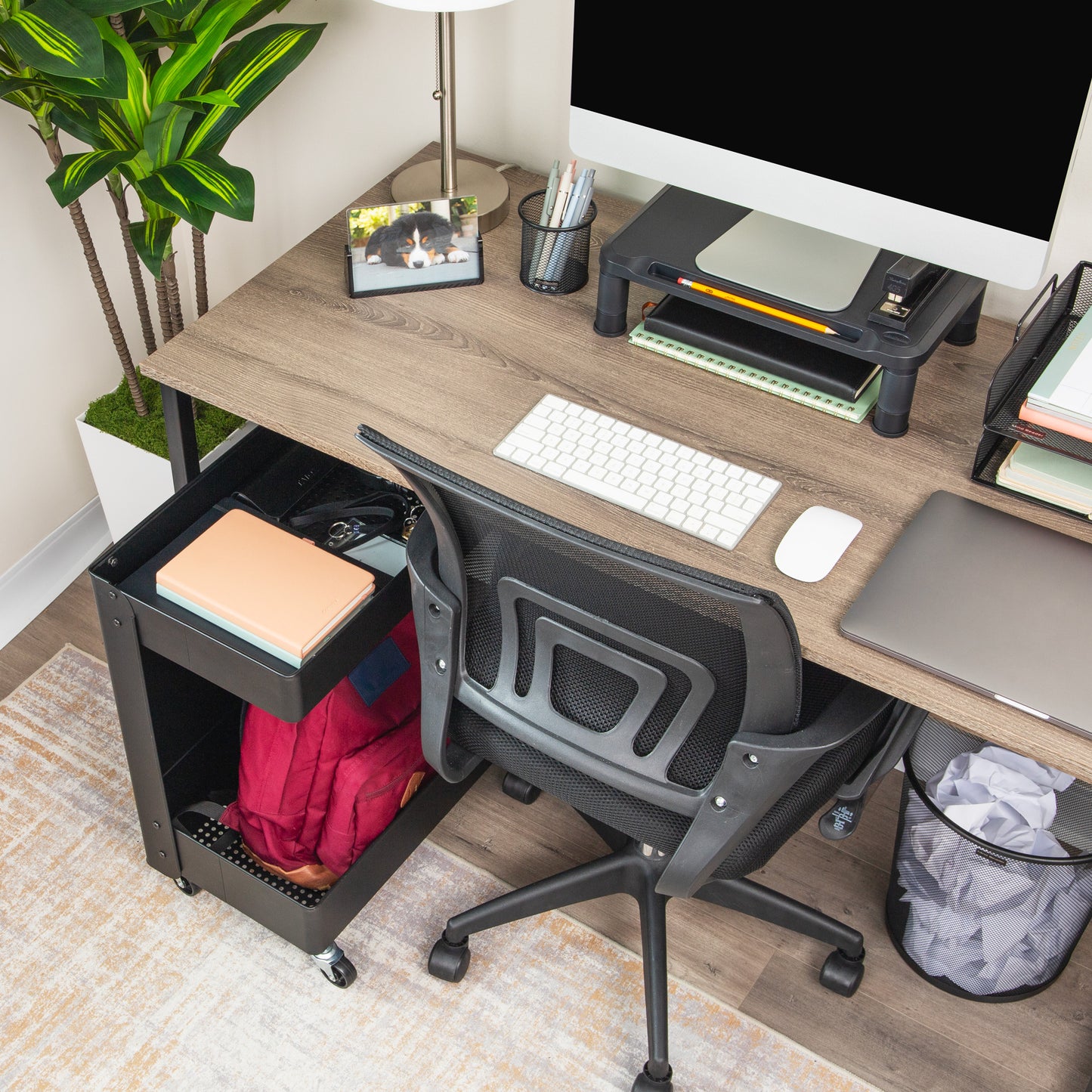 Mind Reader Under Desk Rolling Cart, 2-Tier Steel Utility Organizer, No Assembly Required, 12"L x 20"W x 23.5"H, Black