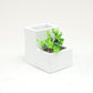 Mind Reader Ceramic Desktop Planter Pencil Cup, Desk Organizer with Faux Succulent, White