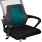 Mind Reader Ergonomic Lower Back Cushion, Office Chair, Posture Corrector, Memory Foam, 15.5"L x 3.75"W x 14.25"H, Black